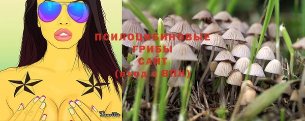 тгк Абинск